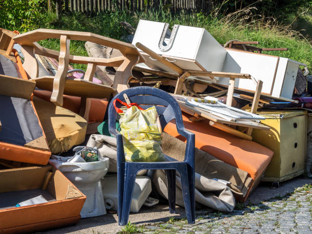 Best Electronics Removal Services  in Dixon, IL