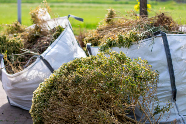 Best Commercial Junk Removal  in Dixon, IL