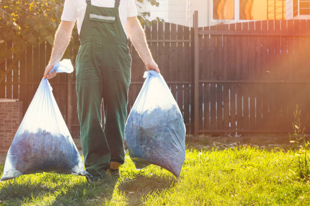 Best Office Junk Removal  in Dixon, IL